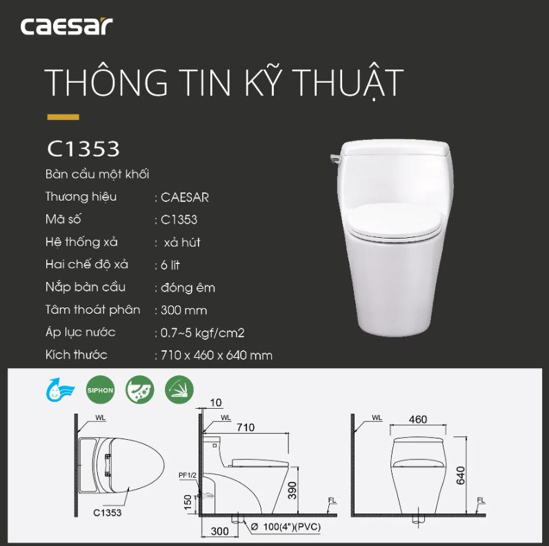 Hình ảnh bàn cầu 1 khối Caesar C1353
