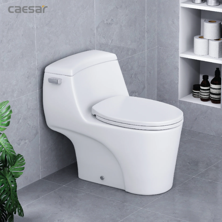 Hình ảnh bàn cầu 1 khối Caesar C1353