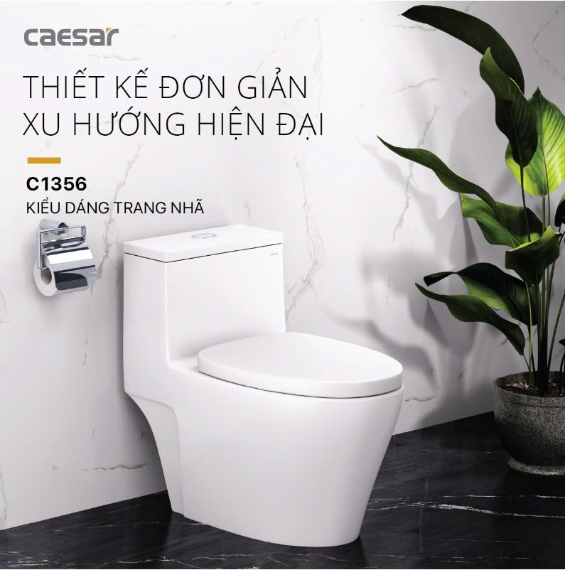 Hình ảnh bàn cầu 1 khối Caesar C1356
