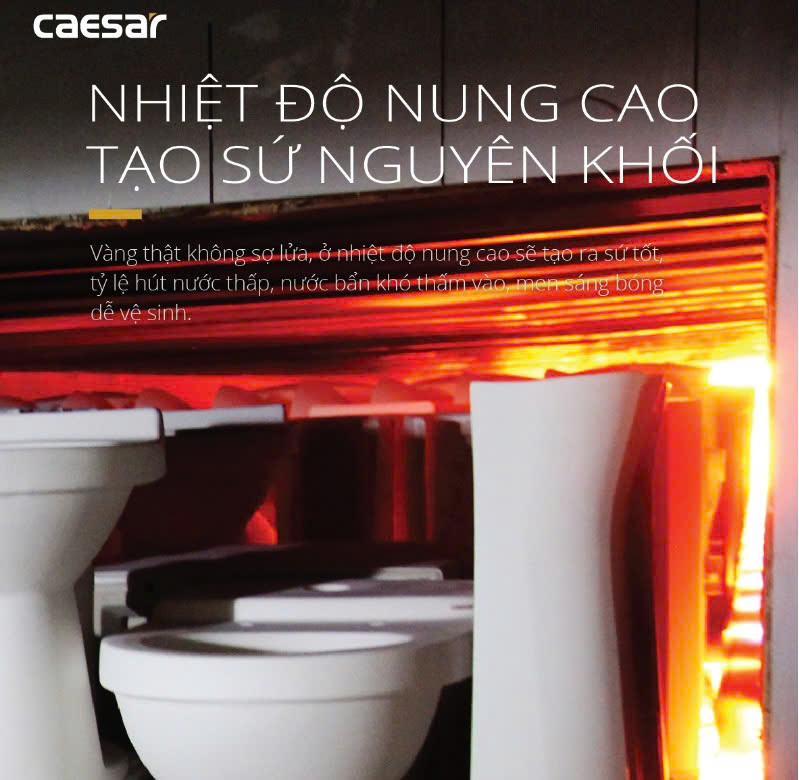 Hình ảnh bàn cầu 1 khối Caesar C1356