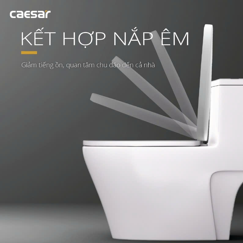 Hình ảnh bàn cầu 1 khối Caesar C1356