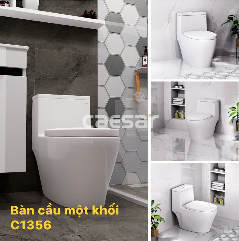 Hình ảnh bàn cầu 1 khối Caesar C1356