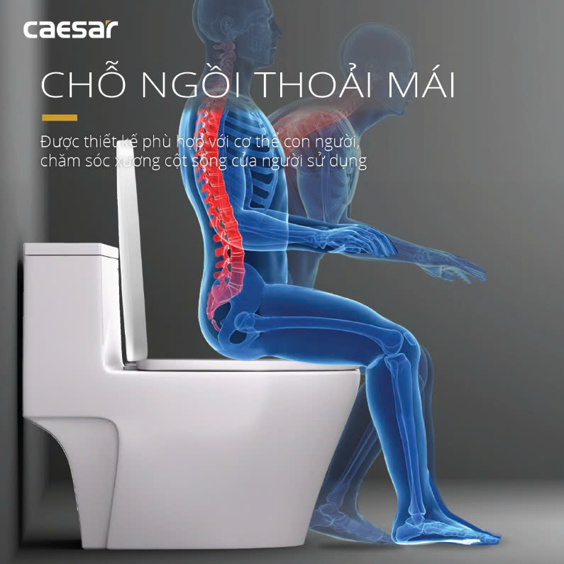Hình ảnh bàn cầu 1 khối Caesar C1364