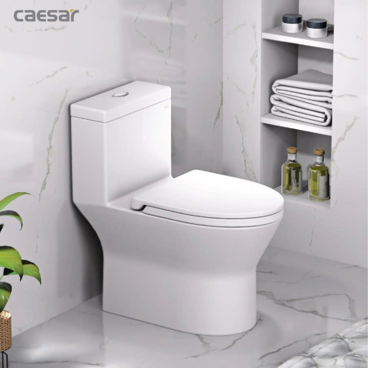 Hình ảnh bàn cầu 1 khối Caesar C1374