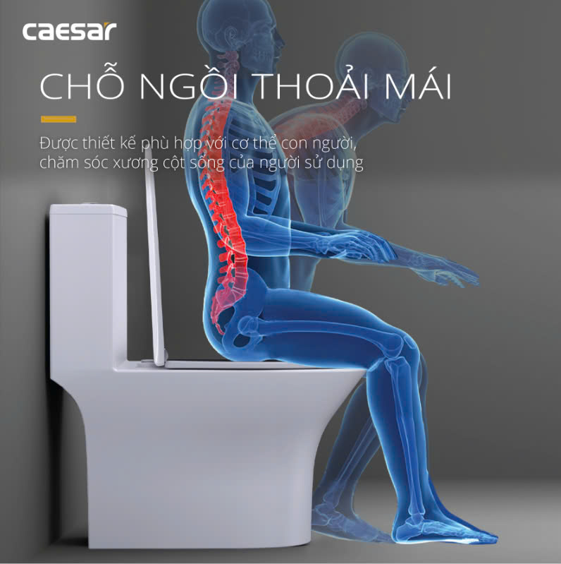 Hình ảnh bàn cầu 1 khối Caesar C1391