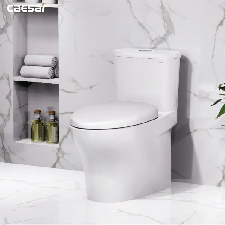 Hình ảnh bàn cầu 1 khối Caesar C1394