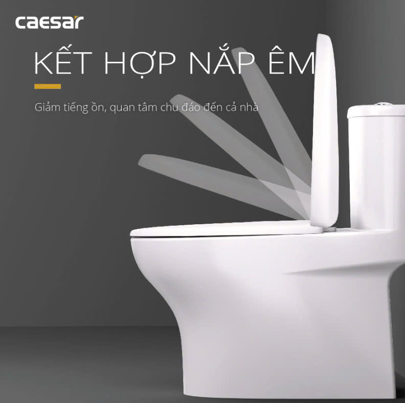 Hình ảnh bàn cầu 1 khối Caesar C1391