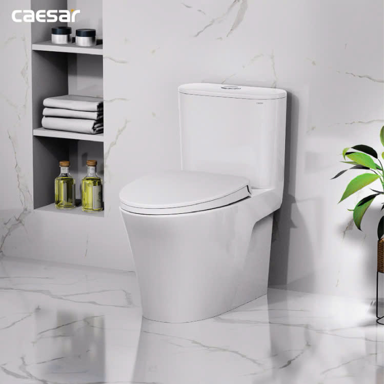 Hình ảnh bàn cầu 1 khối Caesar C1395