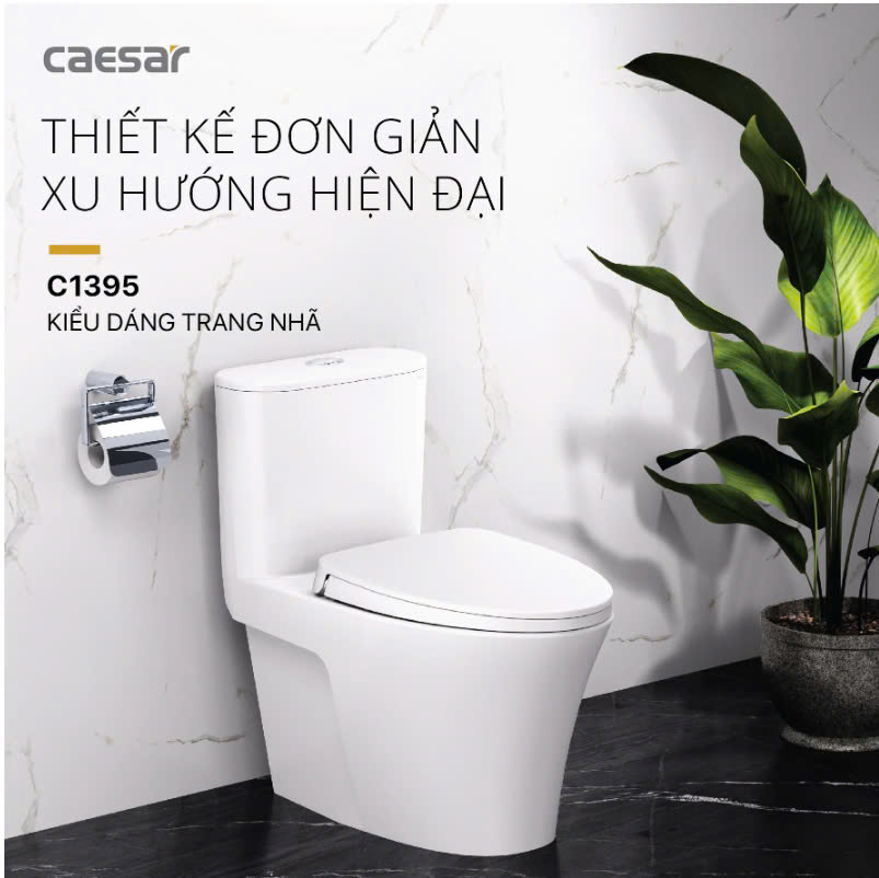 Hình ảnh bàn cầu 1 khối Caesar C1395