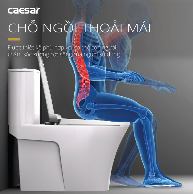 Hình ảnh bàn cầu 1 khối Caesar C1395