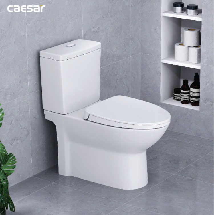 Hình ảnh bàn cầu 1 khối Caesar CD1340