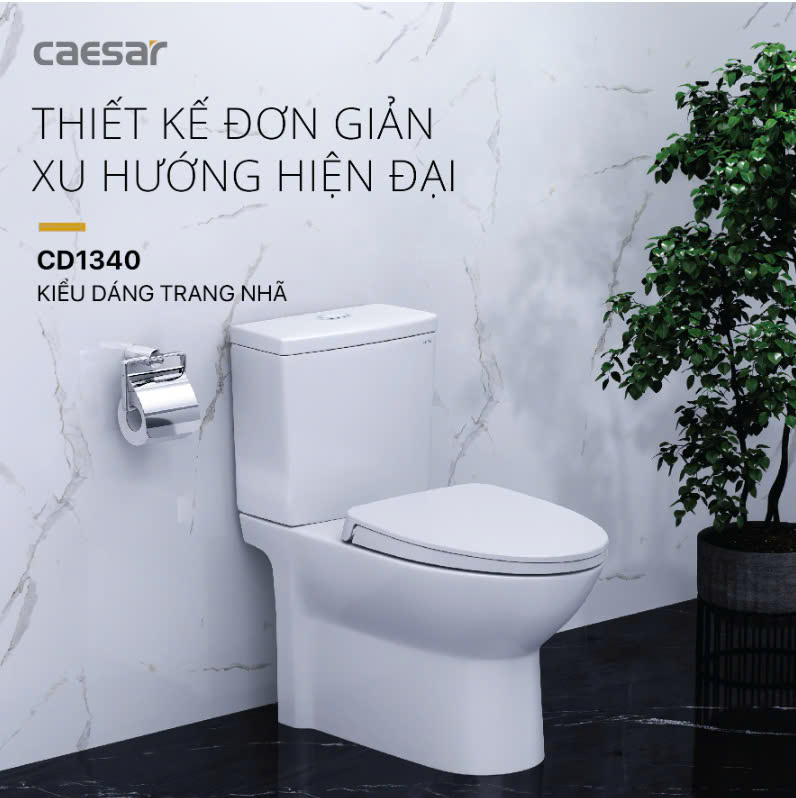 Hình ảnh bàn cầu 1 khối Caesar CD1340
