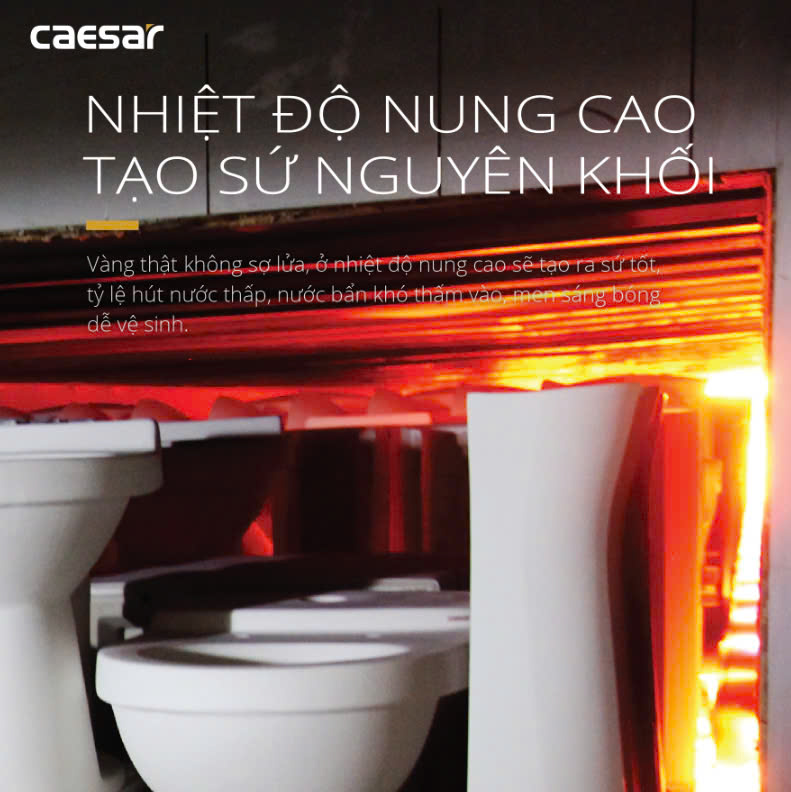 Hình ảnh bàn cầu 1 khối Caesar CD1340