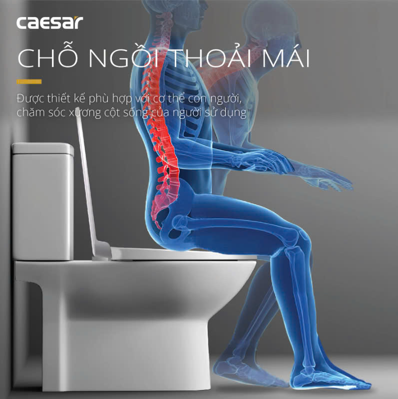 Hình ảnh bàn cầu 1 khối Caesar CD1340