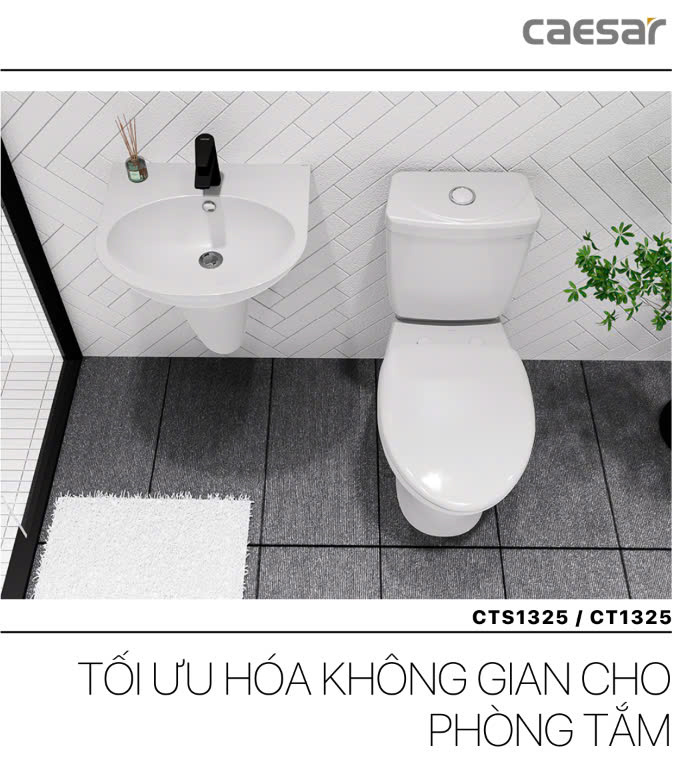 Hình ảnh bàn cầu 2 khối Caesar CT1325