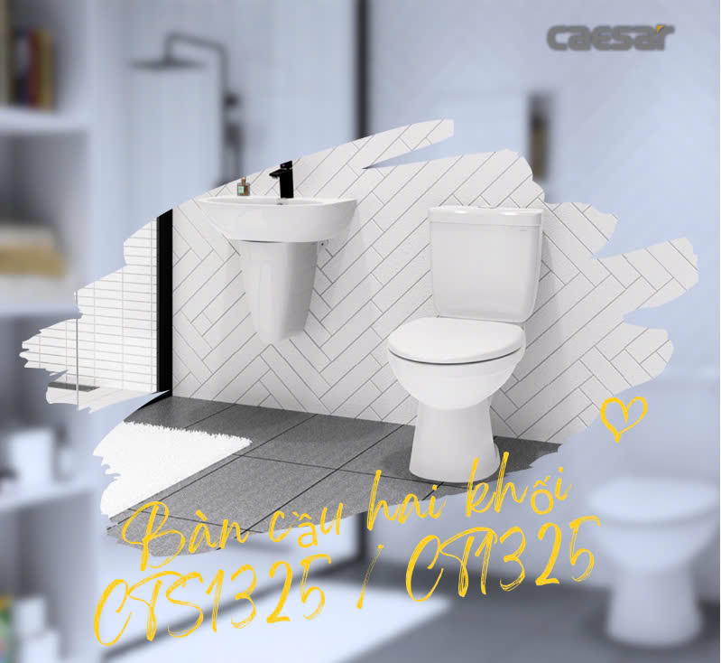 Hình ảnh bàn cầu 2 khối Caesar CT1325