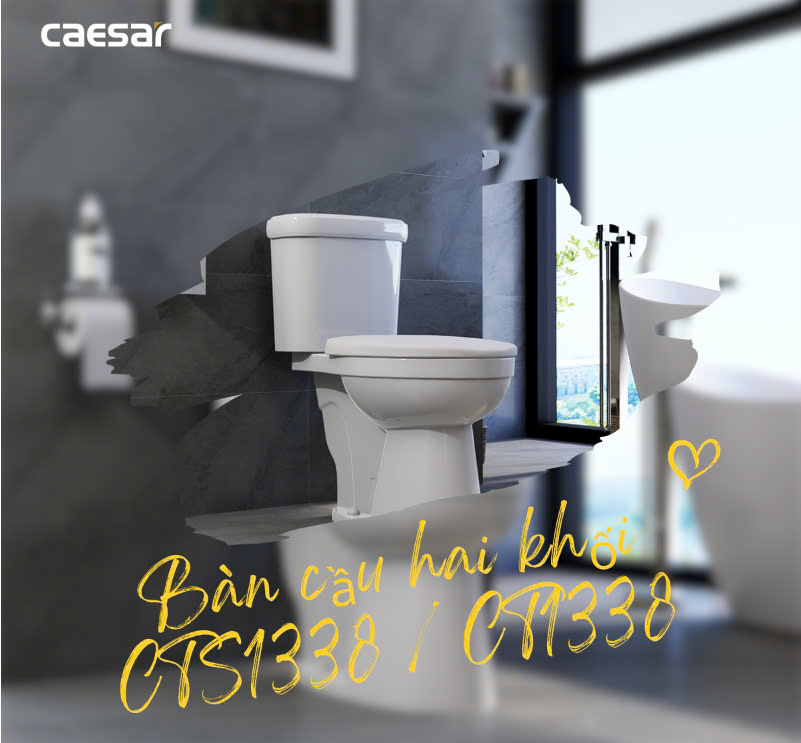 Hình ảnh bàn cầu 2 khối Caesar CT1338