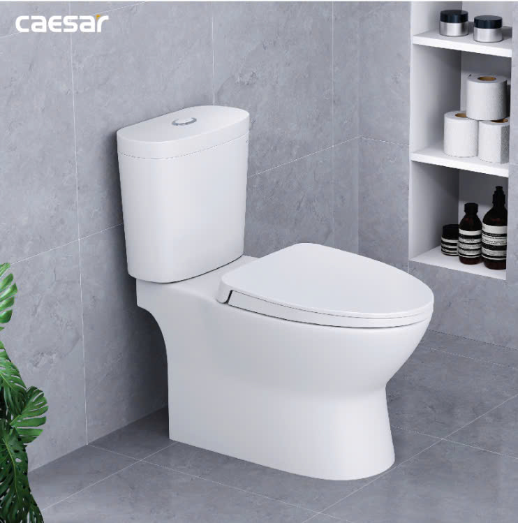 Hình ảnh bàn cầu 2 khối nắp êm Caesar CD1320