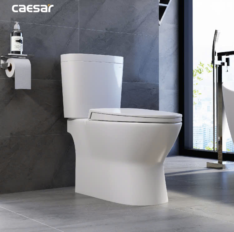 Hình ảnh bàn cầu 2 khối nắp êm Caesar CD1320