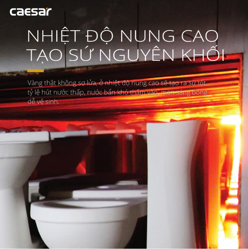 Hình ảnh bàn cầu 2 khối Caesar CD1320