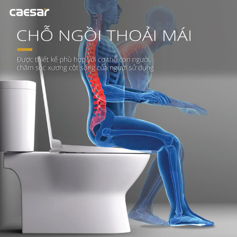 Hình ảnh bàn cầu 2 khối Caesar CD1320