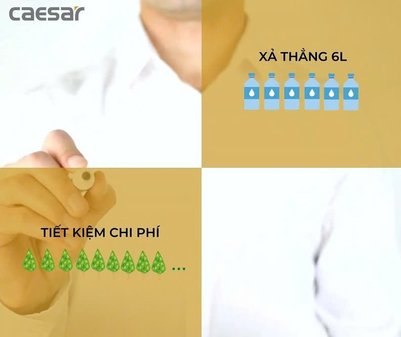 Hình ảnh bàn cầu công cộng Caesar CP1333 + BF521A