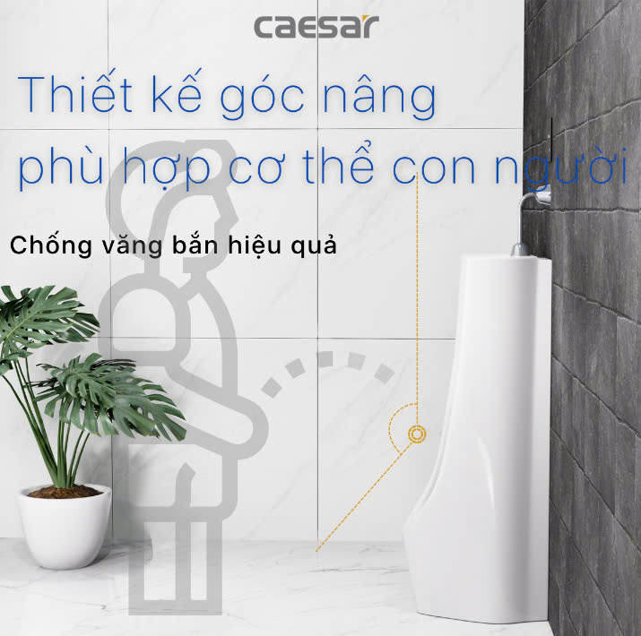 Hình ảnh bồn tiểu nam đứng Caesar U0239 + A654