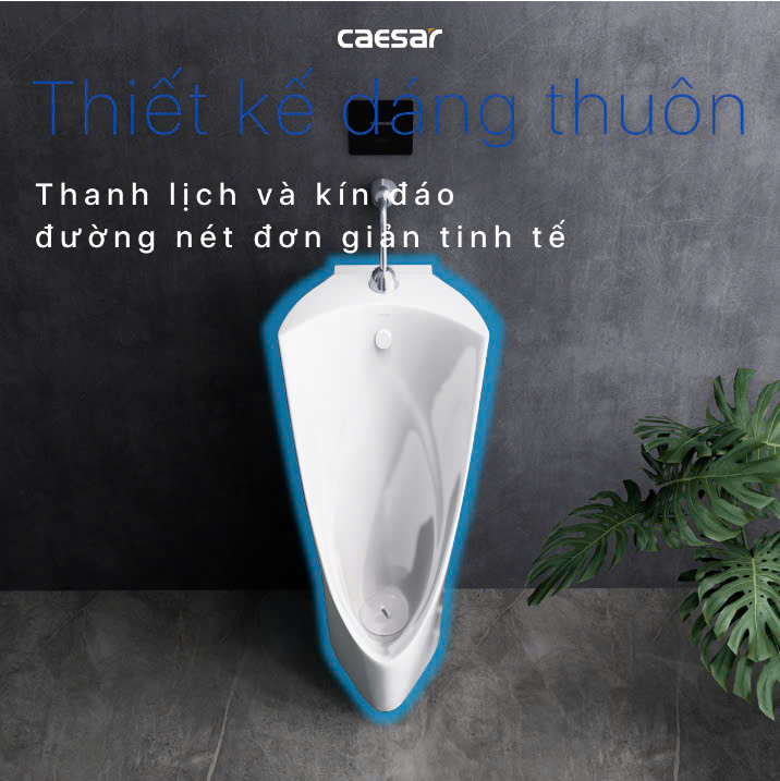 Hình ảnh bồn tiểu nam đứng Caesar U0239 + A654