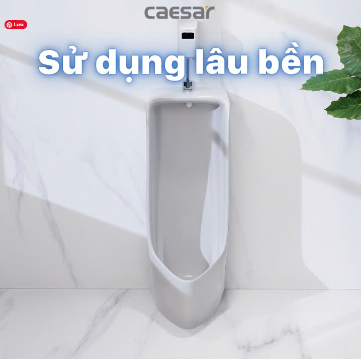 Hình ảnh bồn tiểu nam đứng Caesar U0296 + A648