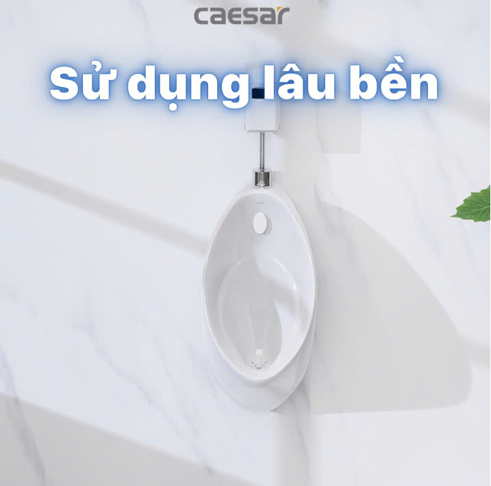 Hình ảnh bồn tiểu nam treo tường Caesar U0211