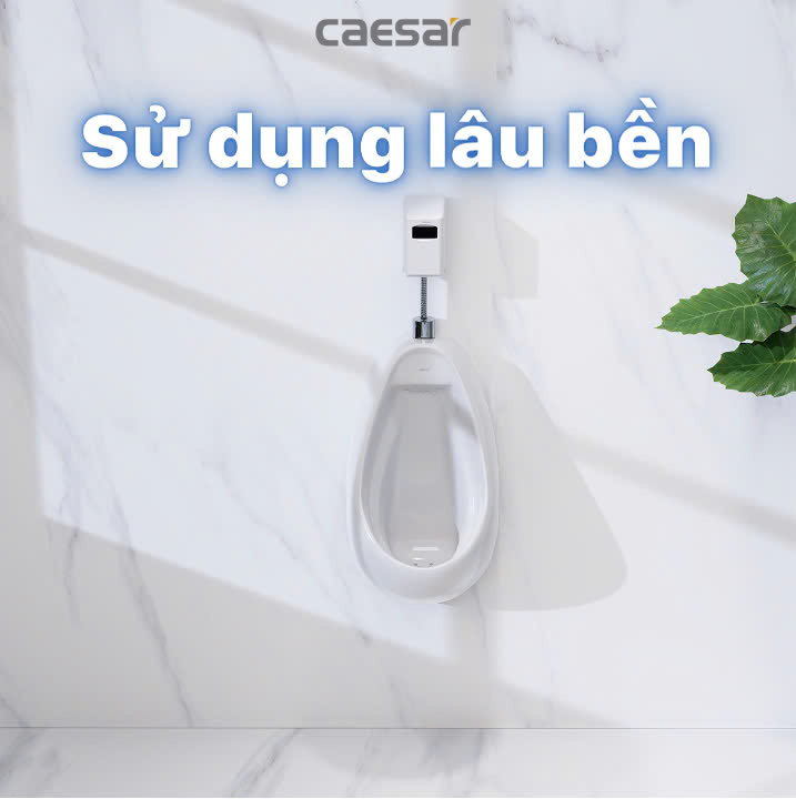 Hình ảnh bồn tiểu nam treo tường Caesar U0221