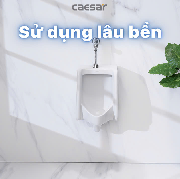 Hình ảnh bồn tiểu nam treo tường Caesar U0230