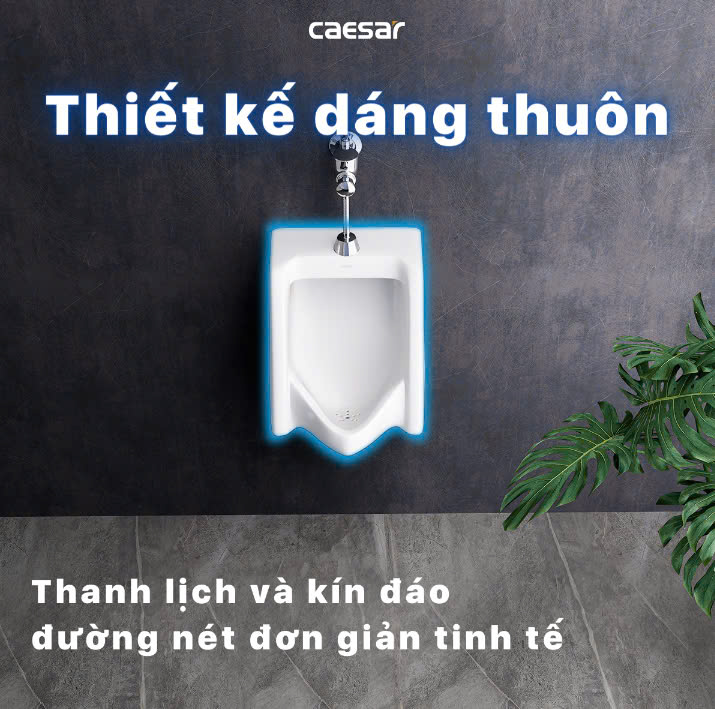 Hình ảnh bồn tiểu nam treo tường Caesar U0230