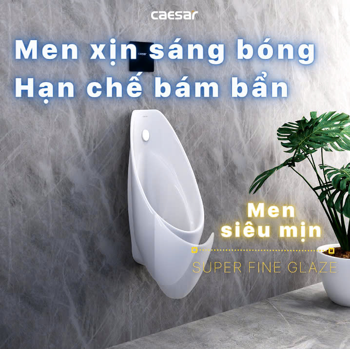 Hình ảnh bồn tiểu nam treo tường Caesar U0264