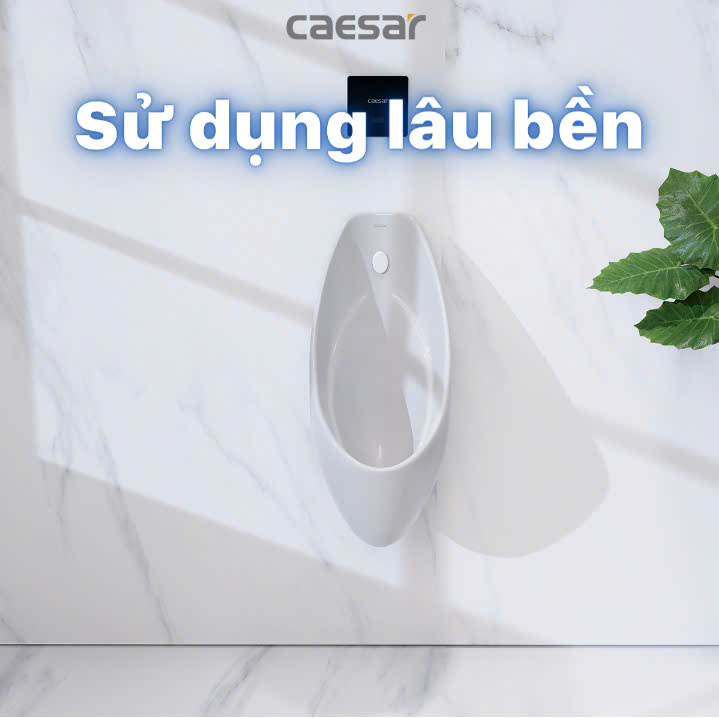 Hình ảnh bồn tiểu nam treo tường Caesar U0264