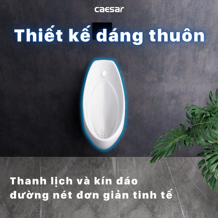 Hình ảnh bồn tiểu nam treo tường Caesar U0264