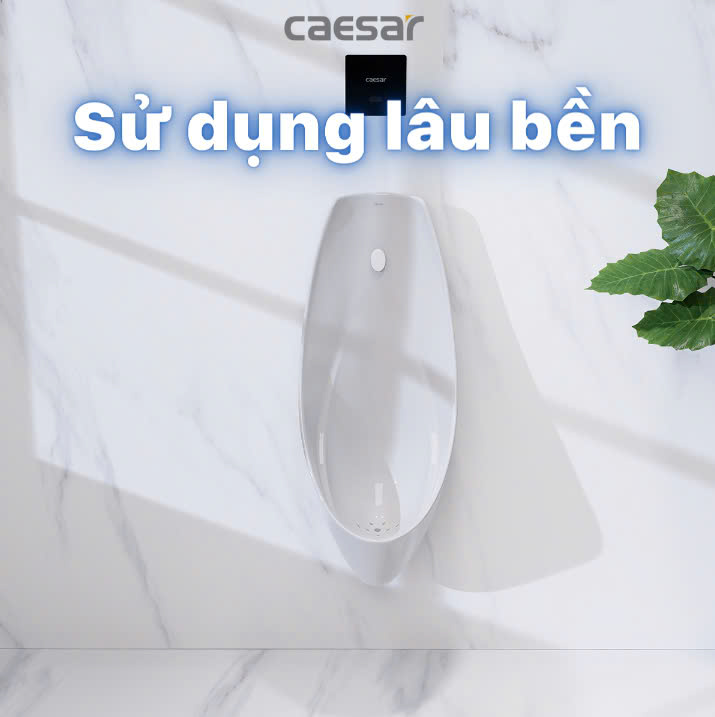Hình ảnh bồn tiểu nam treo tường Caesar U0266