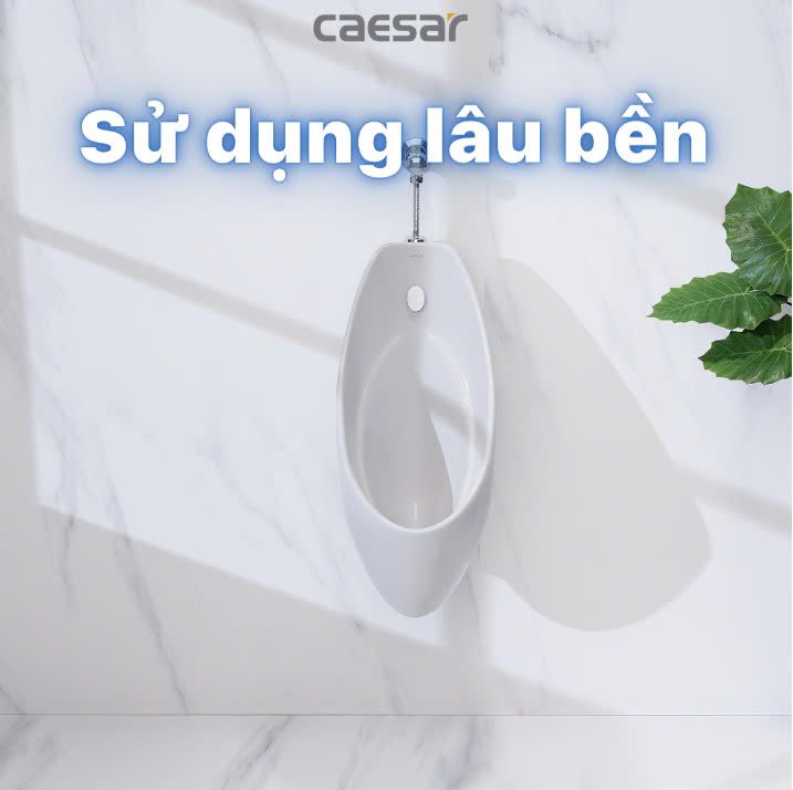 Hình ảnh bồn tiểu nam treo tường Caesar U0267