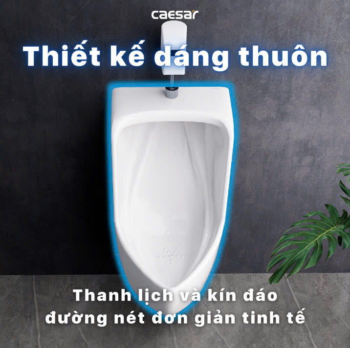 Hình ảnh bồn tiểu nam treo tường Caesar U0282