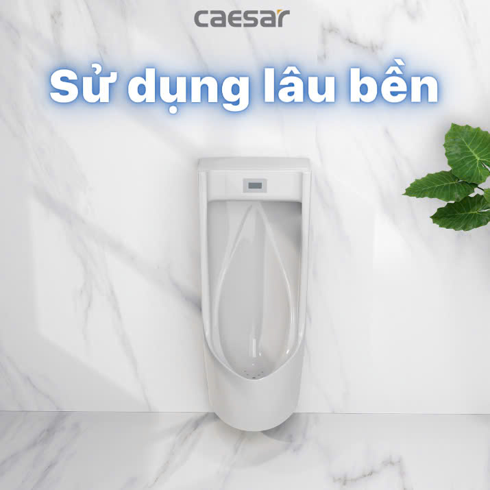 Hình ảnh bồn tiểu nam treo tường Caesar UA0283