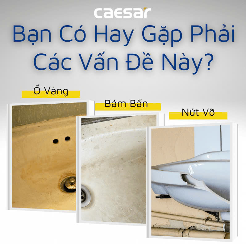 Chậu rửa Lavabo âm bàn Caesar L5113