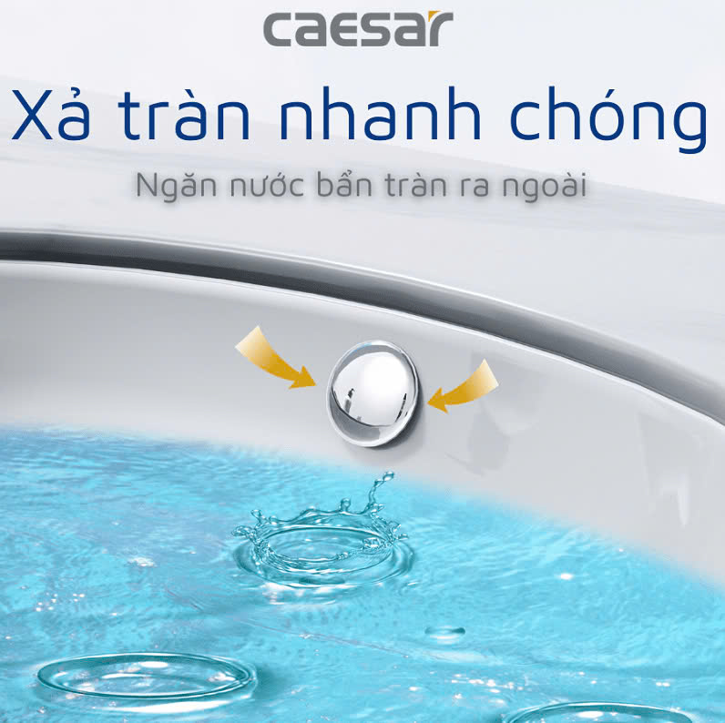 Chậu rửa Lavabo Âm Bàn Caesar L5113