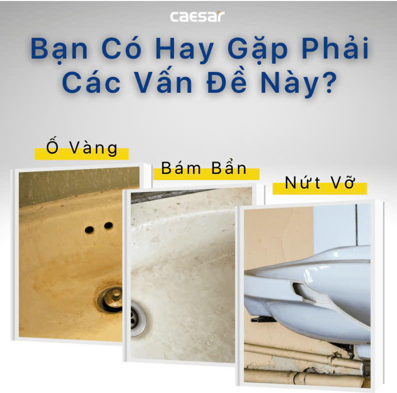 Chậu rửa Lavabo đặt bàn Caesar L5215