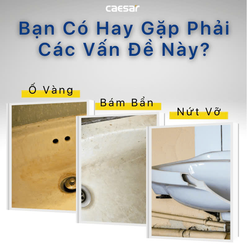 Chậu rửa Lavabo đặt bàn Caesar L5222