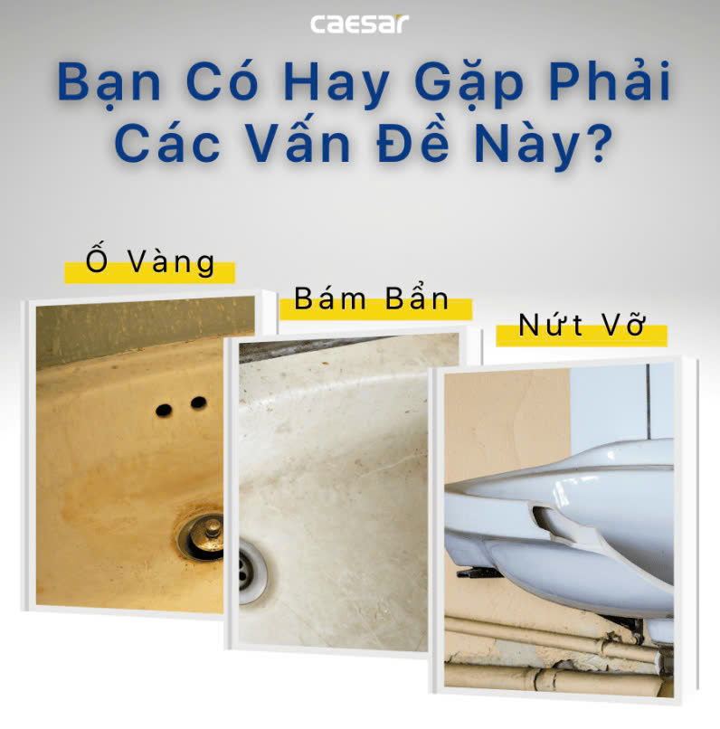 Chậu rửa Lavabo đặt bàn Caesar LF5256
