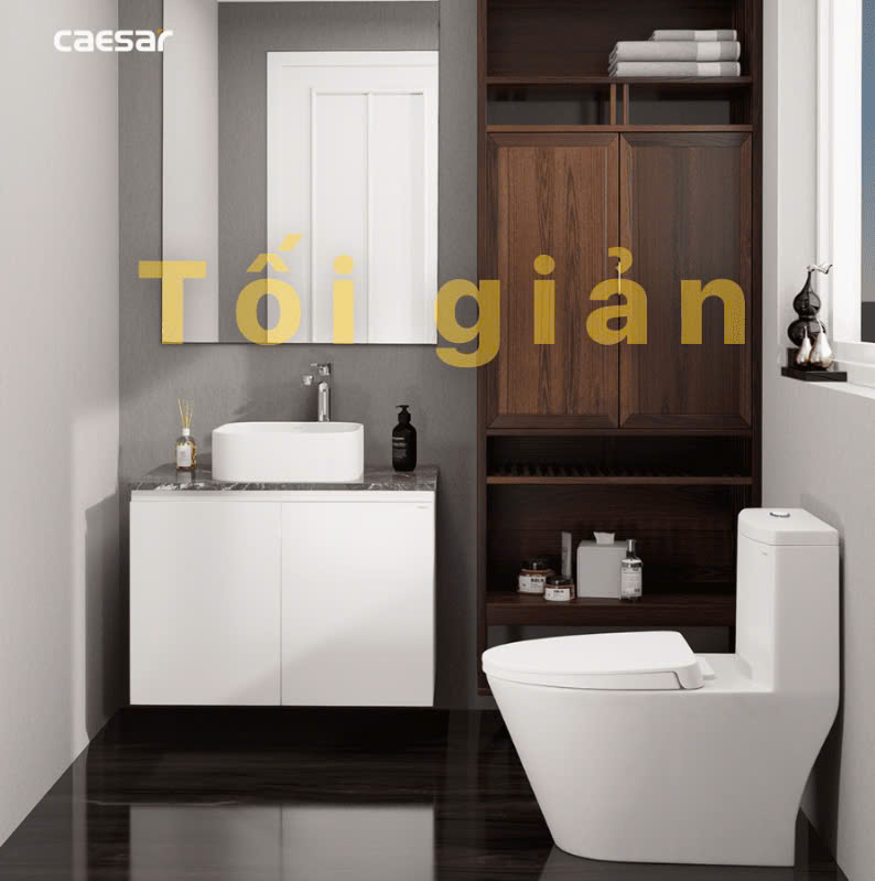 Chậu rửa Lavabo đặt bàn Caesar LF5256