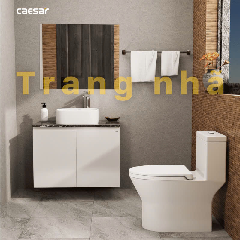 Chậu rửa Lavabo đặt bàn Caesar LF5256