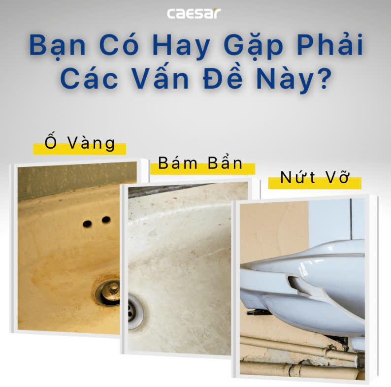 Chậu rửa Lavabo đặt bàn Caesar LF5261