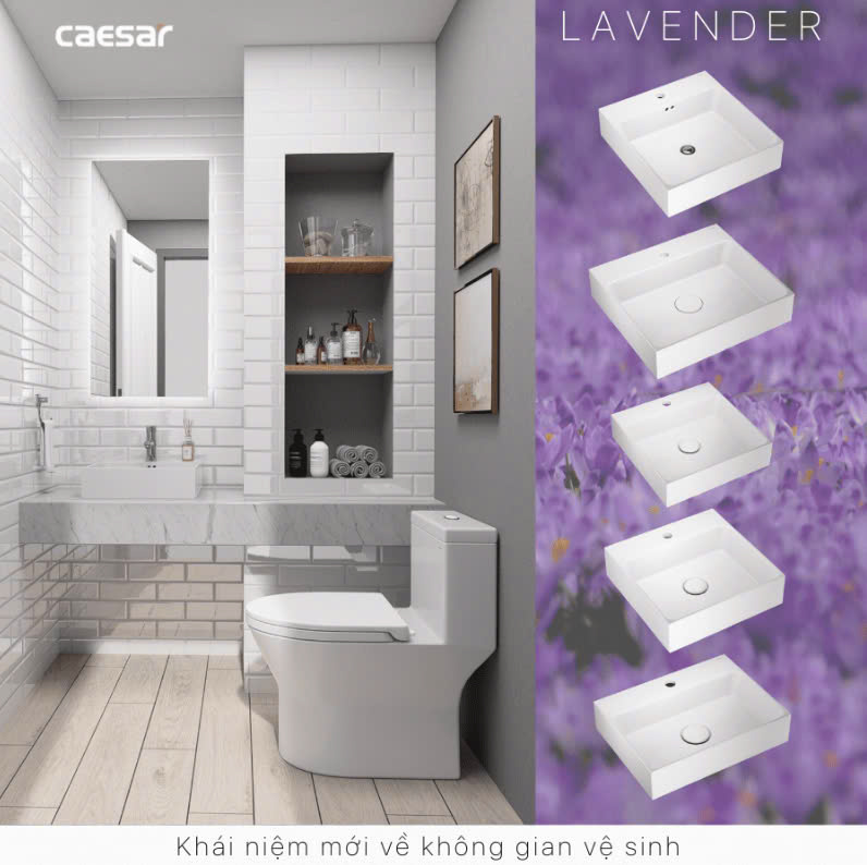 Chậu rửa Lavabo đặt bàn Caesar LF5261