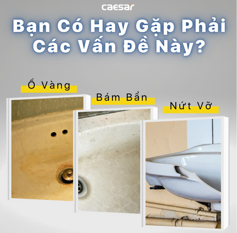 Chậu rửa Lavabo đặt bàn Caesar LF5380